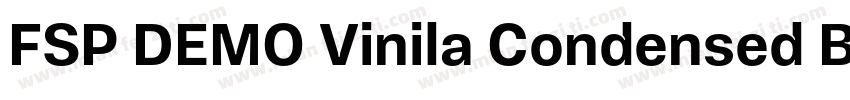 FSP DEMO Vinila Condensed Bold字体转换